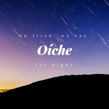 Beautiful Words That Will Make You Fall In Love With The Irish Language Beautiful Irish Words, Irish Gaelic Language, Gaelic Language, Gaelic Words, Irish Words, Irish Language, Irish Gaelic, Valley Of The Kings, Love Culture