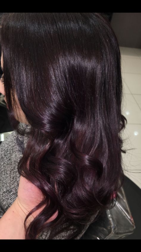 Dark Black Plum Hair Color, Black Hair With Burgundy Tint, Black Cherry Coke Hair Color, Black Mahogany Hair Color, Blackberry Burgundy Black Hair, Dark Hair Violet Undertone, Jet Black Hair With Red Tint, Cherry Coke Balayage Dark Brown, Subtle Plum Hair