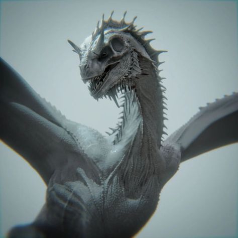 Realistic Fantasy Creatures, Grey Ghost Dragon, Wyvern Drawings, White Wyvern, Smaug Dragon, Daena Targaryen, Visenya Targaryen, Realistic Dragon, Grey Ghost