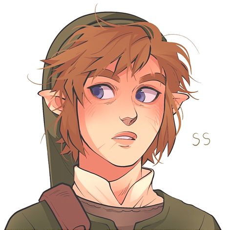 Link Hairstyle Zelda, Artsy Moonwalker, Link Pfp, Link Drawing, Zelda Skyward, Botw Zelda, Link Art, Link Zelda, Zelda Art