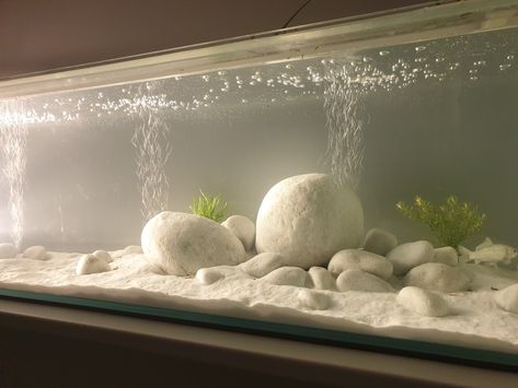 All White Fish Tank, White Fish Tank Ideas, White Fish Tank Decor, Minimalist Fish Tank, White Sand Aquarium, Axolotl Tank Ideas, Aesthetic Fish Tank, Minimalist Aquarium, Aesthetic Fish Tank Ideas