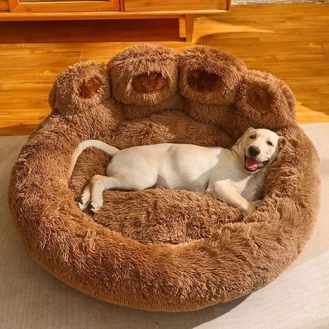 Golden Retriever Bed, Corgi Golden Retriever, Dog Basket, Dog Sofa Bed, Dog Bed Furniture, Dog Bed Large, Dog Sofa, Cat Mat, Bear Paws