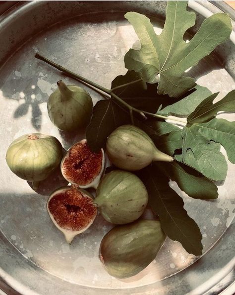 Fig Tree, Green Aesthetic, Food Styling, Aesthetic Food, Fig, Mood Boards, Diner, Food Photography, Cafe