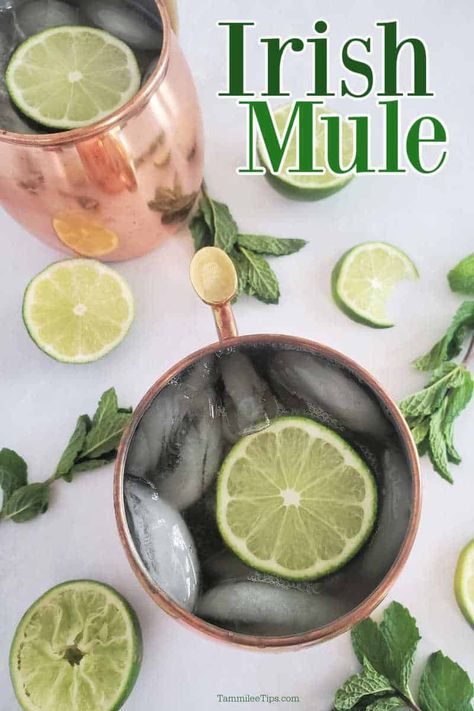 Irish Mule Recipe, Irish Mule, Hamilton Wedding, Moscow Mule Cocktail, Ginger Beef, Homemade Limoncello, Perfect Dinner Party, Mule Recipe, Jameson Irish Whiskey