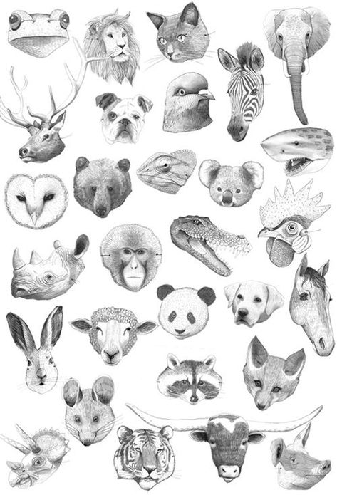 Image result for cute animal head drawings Art Worksheets, Arte Sketchbook, Arte Animal, Animal Heads, Animal Faces, Art Journals, Art Plastique, 귀여운 동물, Animal Illustration