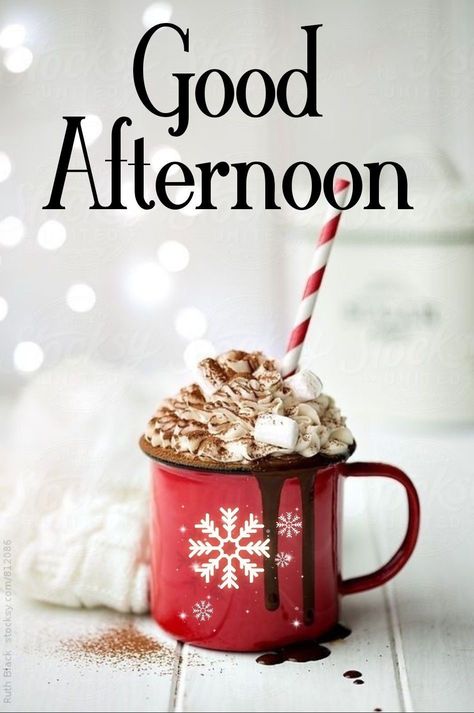 Winter Afternoon Quotes, Good Afternoon Christmas Images, Good Afternoon Christmas, Good Afternoon Images Hd, Gud Afternoon, Daily Sayings, Afternoon Blessings, Afternoon Greetings, Good Afternoon Images