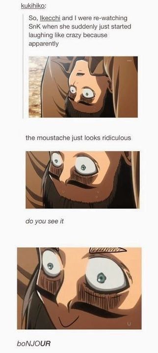 #aot #attackontitan #memes An Anime, Attack On Titan, The Story, Memes, Funny, Anime