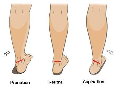 Ankle ROM Pronation - Supination Ectomorph Body, Calf Training, Calf Exercises, Big Calves, Calf Stretches, How To Get Bigger, Workout Splits, Pediatric Nurse, Triathlon Training