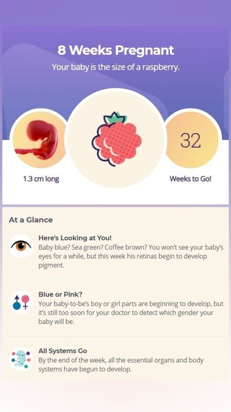 8weeks Pregnant, Week 8 Pregnancy, Baby Fruit Size, 8 Weeks Pregnant, Baby Journal Book, Baby Countdown, Pregnancy Week, 1st Trimester, Mommy Time