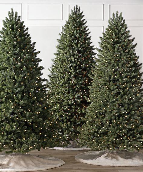 Finding your dream Christmas tree is only a quiz away. Let the Christmas tree experts at Balsam Hill help you get it right. Christmas Tree Prelit, Group Of Christmas Trees, Balsam Hill Tree, Christmas Tree Lights Only, Christmas Tree Made Of Lights, Lux Christmas, Balsam Hill Trees, Metal Christmas Tree Stand, Balsam Tree