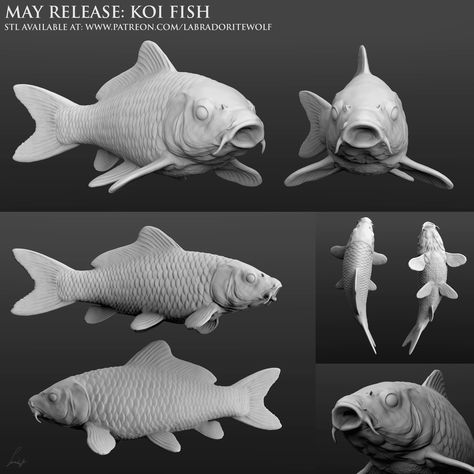 Hey guys, it's been a while. Time to present the Koi Fish to you! I made two versions, one with the fins intact and one with the fins flattened on the tips for slightly easier printing. I also included mirrored versions, since I thought a set of them would look cool. If you like this model, consider becoming a Patron and get access to both this model and several others for only $8 a month! Patreon: https://www.patreon.com/labradoritewolf Copyright ©2019 Michelle Lampe (LabradoriteWolf) - Thi Fish Model, Color Palette Yellow, Fish Sculpture, Ceramic Fish, 3d Studio, Stl Files, To Cast, 3d Printable, Pottery Designs