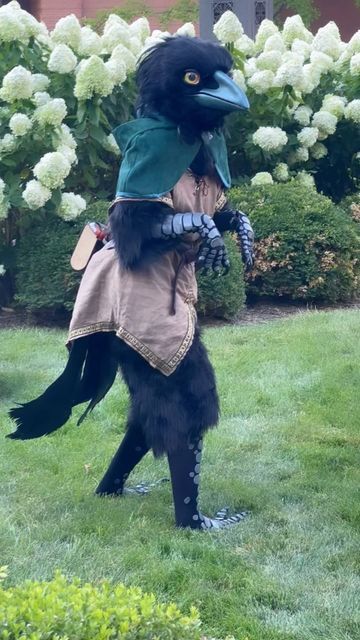 Sunset Dragon on Instagram: "Some fun little video clips of me running around in this park as Kiri during @gen_con 🐦🖤🗡️ I’m so glad I got to wear her again and I want to wear her to even more events now! #kiri #criticalrole #criticalrolecosplay #kenku #gencon #gencon2023 #genconcosplay #suit #fursuit #corvid" Bird Fursuit, Sunset Dragon, Fursuit Inspiration, Dragon Fursuit, Critical Role Cosplay, Fursuit Ideas, Raptor Dinosaur, Fur Suits, Caw Caw