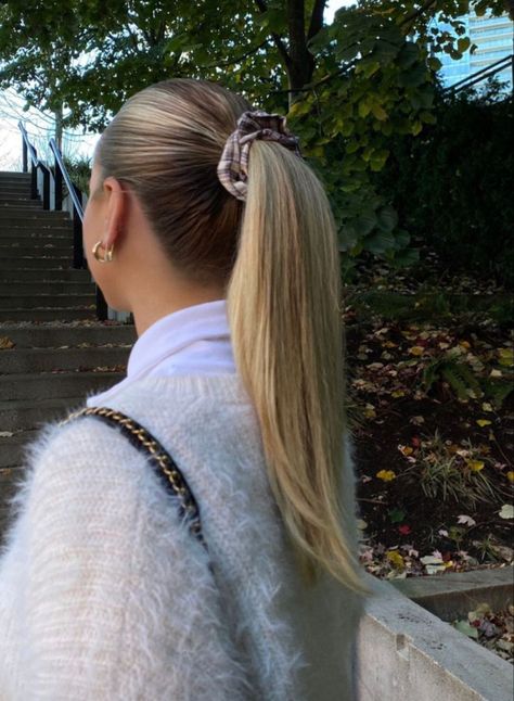 Bouncy Ponytail, Interview Hairstyles Medium, Sophie Suchan, Old Money Hairstyles, Ponytail Scrunchie, Perfect Blonde Hair, Preppy Hairstyles, Concert Hairstyles, Elegant Ponytail