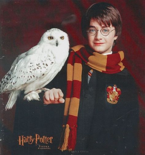 Edwige Harry Potter, Young Harry Potter, Harry Potter Art Drawings, Harry Potter Owl, Harry Potter Classroom, Harry Potter Scarf, Harry Potter Pin, Harry Potter Artwork, Images Harry Potter