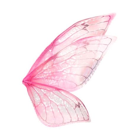 ตตต Fairy Wings Png, Rainbow Fairy Wings, Butterfly Party Theme, Fairy Wings Aesthetic, Pink Butterfly Wings, Pink Fairies, Purple Butterfly Wings, Pink Fairy Wings, Butterfly Dresses