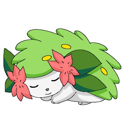 Shaymin Tattoo, Shaymin Pokemon Art, Shaymin Art, Shaymin Pokemon, Fox Chibi, Pokemon Giratina, Pokemon Legendary, Wall Drawing Ideas, Grass Type Pokemon