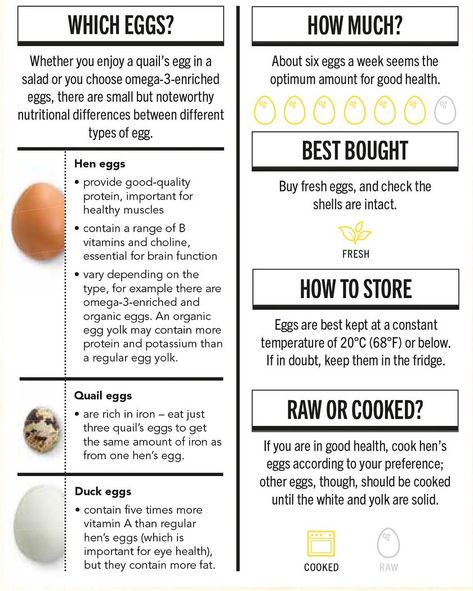 Reasons why Eggs are so Healthy & Good for You | 2019 Infographic Benefits Of Eggs, Health Benefits Of Eggs, Egg Benefits, Types Of Eggs, Protein Food, Healthy Filling Snacks, Organic Eggs, Nutritious Recipes, Eating Plan