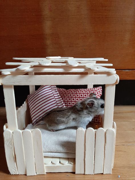 Diy Hamster House, Kandang Hamster, Diy Hamster Toys, Diy Rat Toys, Hamster Diy Cage, Gerbil Cages, Guinea Pig Diy, Cage Hamster, Hamster Diy