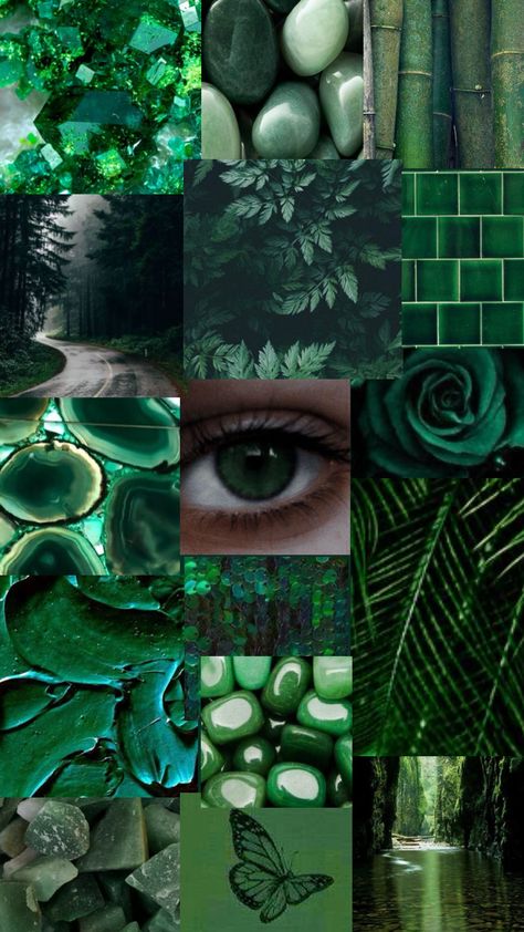 #emerald #green #emeraldeyes #fyp #vibes Emerald Photography, Quetzal Green, Pink And Green Wallpaper, Viridian Green, Teal Branding, Emerald Eyes, Winter Inspiration, Branding Mood Board, Head Color