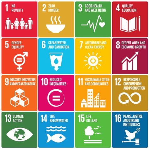 Unreasonable Goals – Betting on Entrepreneurs to Tackle the Global Goals Sustainable Goals, Global Goals, Poverty And Hunger, Sustainable City, Public Private Partnership, Goals Inspiration, Sustainable Development Goals, Sustainable Business, Clean Energy