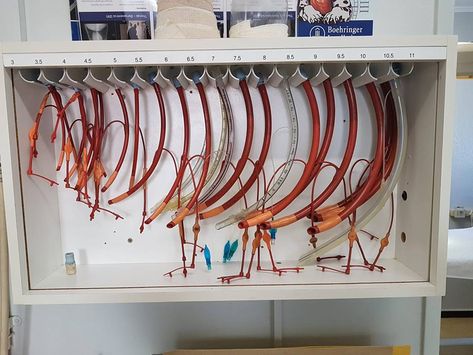 Et Tube Organization, Endotracheal Tube Storage, Veterinary Hospital Organization, Med Organization, Vet Clinic Organization, Vet Clinic Design, Veterinary Storage, Veterinary Office, Mobile Vet