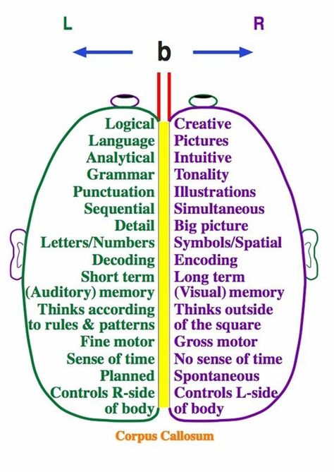 Left Brain, Picture Letters, Right Brain, Photo Charms, Neurology, Anatomy And Physiology, Pandora Bracelets, Neuroscience, Speech And Language