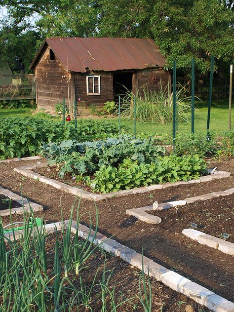 My new veggie garden at our new farm! It's coming along great, but I already want to double it in size! Garden Ideas Large, Potager Garden, Garden Area, Veg Garden, It's Coming, Creative Gardening, Vegetable Garden Design, Garden Bed, Garden Layout