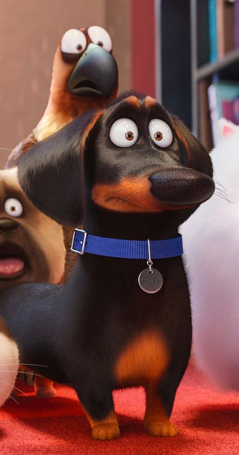 Buddy Secret Life Of Pets, Animation Art Illustration, Dachshund Wallpaper, Hannibal Buress, Dog Posters, Tara Strong, Lake Bell, Pets Movie, Jenny Slate