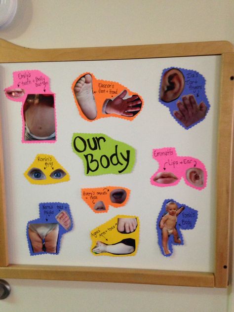 Toddler classroom board.. Pictures of each students different parts of the body My Body Infant Art, Family Wall Ideas For Classroom, Naeyc Infant Classroom, Infant 2 Classroom, All About Me Baby Activities, My Body Toddler Activities, Kindercare Toddler Classroom, All About Me Infant Crafts, Infant And Toddler Classroom Set Up