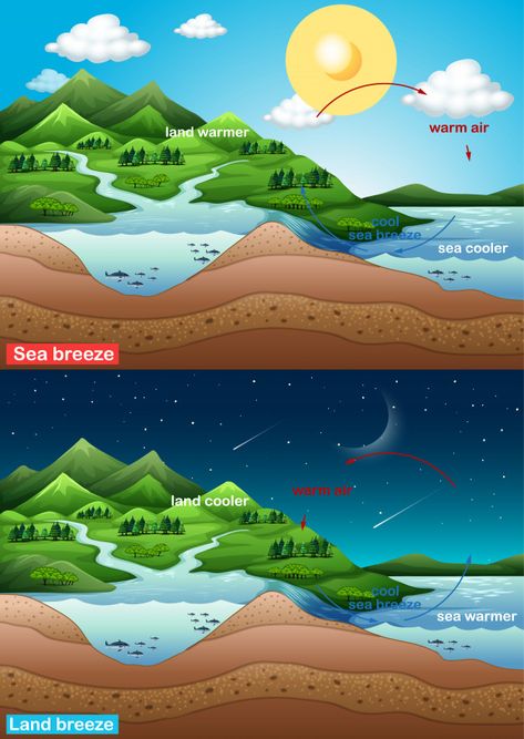 Sea Breeze And Land Breeze Diagram, Land Breeze And Sea Breeze, Land Resources, 6th Grade Science, Water Pictures, Science Chemistry, Weather And Climate, Girly Drawings, Scientific Method