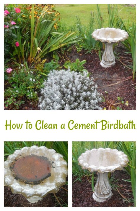 Best Bird Baths, How To Clean A Cement Birdbath, Flowers Around Bird Bath, Bird Bath Ideas Front Yards, Garden With Bird Bath, Birdbath Ideas Landscaping, Cement Bird Bath, Bird Bath Diy, Birdbath Ideas