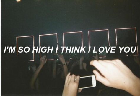 The 1975 Aesthetic, 1975 Aesthetic, Corny Quotes, Dark Paradise, The 1975, Sweet Nothings, Lyric Quotes, Grunge Aesthetic, Music Lyrics