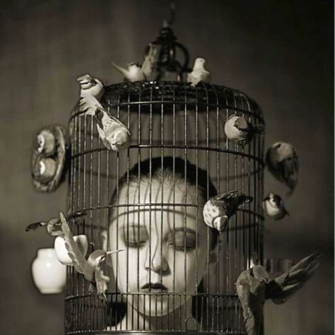 Feeling trapped Michel De Montaigne, Wow Art, Bird Cages, Art And Illustration, Pics Art, Surreal Art, Aphrodite, Bird Cage, Dark Art