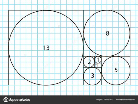 Golden Ratio Logo Design, Golden Ratio Tattoo, Golden Ratio In Design, Golden Proportion, Golden Ratio Logo, Graphic Design Activities, Divine Proportion, Geometry In Nature, Adobe Illustrator Design