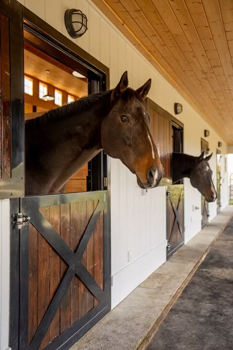 Stable Doors, Old Stables, English Horse Stables, Horse Barn Doors, Horse Barn Dutch Doors, Horse Doors, Equine Barns, Making Barn Doors, Bank Barn