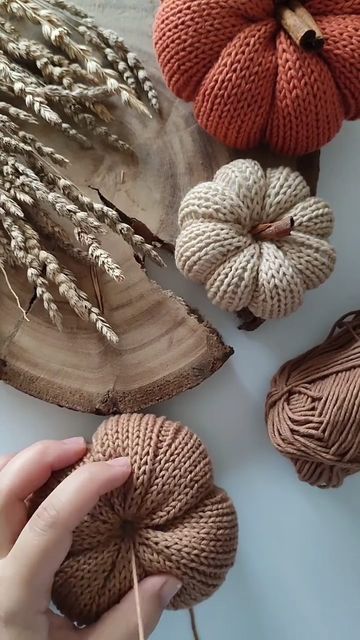 Knitted Pumpkins, Hantverk Diy, Fall Decor Diy Crafts, نباتات منزلية, Fall Halloween Crafts, Crochet Pumpkin, Autumn Crafts, Diy Pumpkin, Pumpkin Crafts