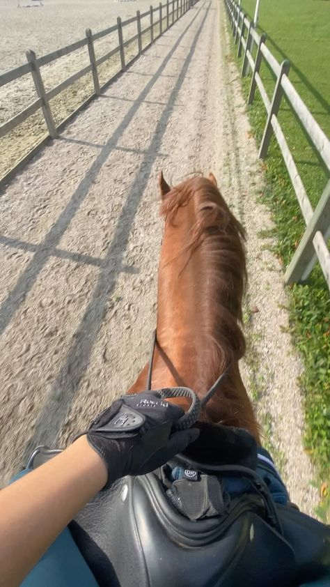 Horsey Life, Horse Riding Aesthetic, Pictures With Horses, Equestrian Aesthetic, Cute Horse Pictures, Horse Camp, Farm Lifestyle, Horse Aesthetic, Horse Videos