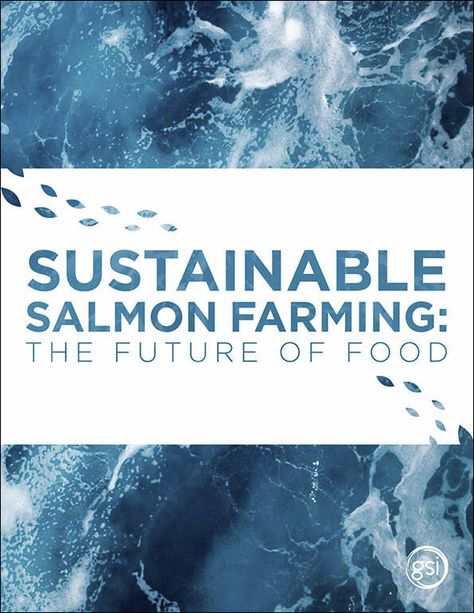 Pacific Salmon, Sustainable Food Systems, Salmon Farming, Atlantic Salmon, Salmon Fish, Fish Stock, Wild Salmon, Nutritious Diet, Marine Fish