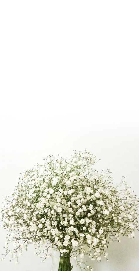 baby's breath, love U @mydeute | Floral wallpaper iphone, Flower wallpaper, Flower background wallpaper Babys Breath Aesthetic, Vintage Flower Backgrounds, Ombre Wallpaper Iphone, Pink Flowers Wallpaper, Floral Wallpaper Iphone, Vintage Flowers Wallpaper, Image Nature, Flower Iphone Wallpaper, Flower Background Wallpaper