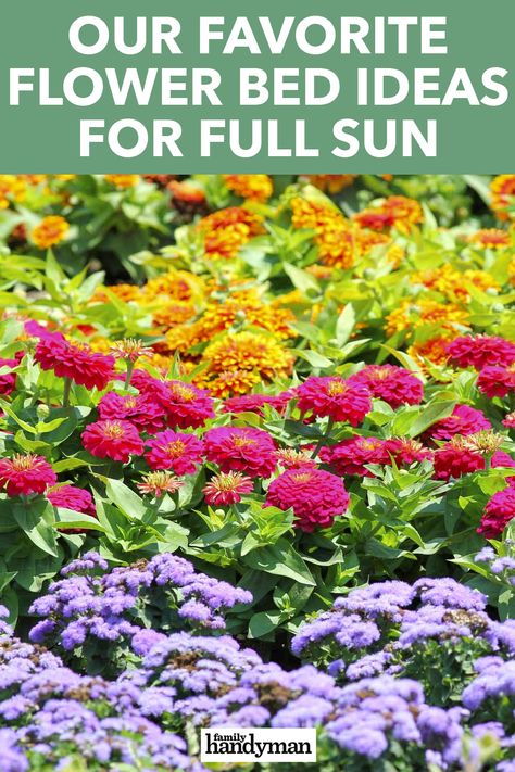 Annual Flower Beds Design, Corner Flower Bed, Annual Flower Beds, Full Sun Landscaping, Flower Bed Decor, Full Sun Garden, Full Sun Flowers, Flower Bed Plants, Front Flower Beds