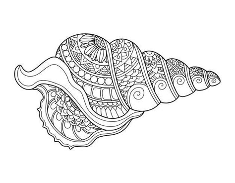 Shell Coloring, Ocean Coloring Pages, Simpul Makrame, Adult Colouring Pages, Zentangle Drawings, Coloring Pages For Adults, Dot Art Painting, Floral Abstract, Cool Coloring Pages