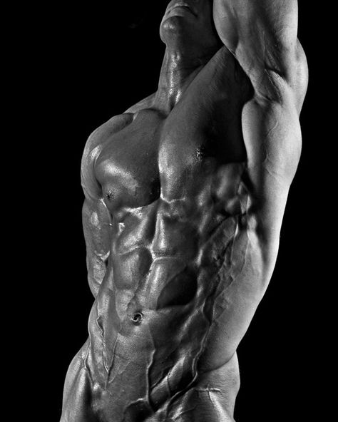 Male Form #Motivation Perfect Body Men, Increase Testosterone, Bodybuilding Supplements, Hand Reference, The Perfect Guy, Muscular Men, Male Physique, Bodybuilding Workouts, Muscle Fitness