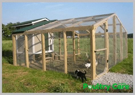 Building A Chicken Run, Chicken Coop Plans Free, Build A Chicken Coop, Chicken Coop Pallets, Portable Chicken Coop, Chicken Pen, Chicken Coop Run, Urban Chickens, Chicken Run