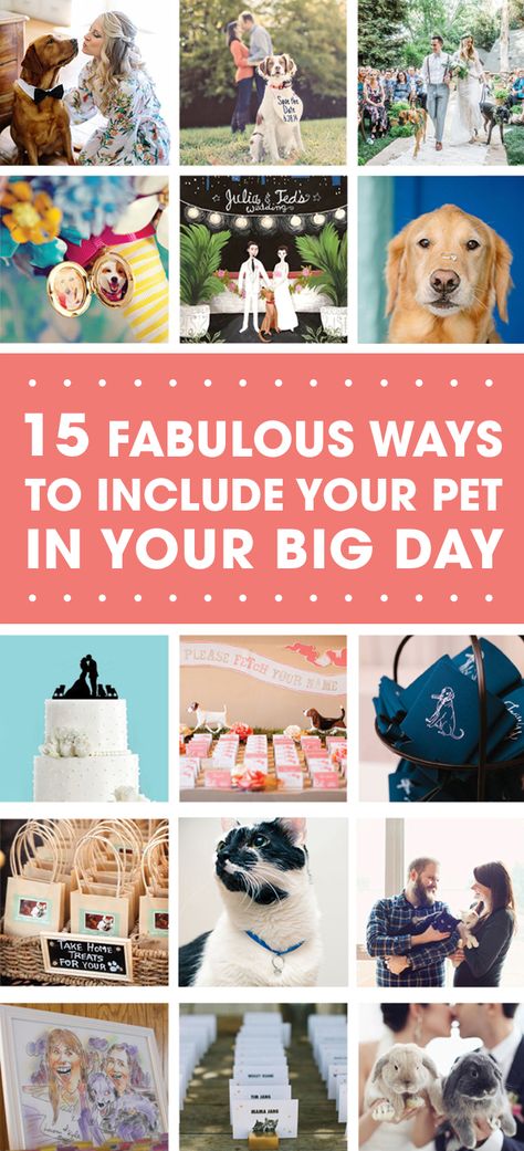 How To Incorporate Pets In Wedding, Pets In Wedding Decor, Ways To Incorporate Dogs In Wedding, Cat Wedding Ideas, Pet Wedding Ideas, Dog Wedding Bandana, Wedding Friends, Library Themes, Top Wedding Trends