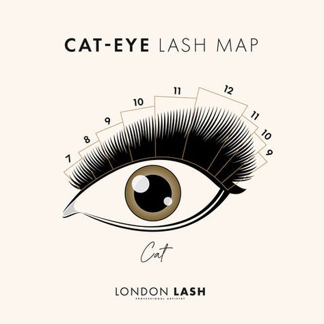 Take your lash skills to the next level with important lash mapping styles for your eyelash extension services. From Cat Eye Lashes to Angel Lashes and MORE! Lash Mapping Styles, Angel Lashes, Manga Lashes, Cat Eye Lashes, Lash Mapping, Cat Eye Lash, Lash Artist, Eye Lashes, Eyelash Extension