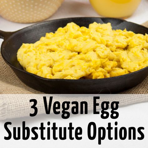 Egg Alternatives Breakfast, Fodmap Vegan, Egg Alternatives, Vegetarian Substitutes, Vegan Egg Substitute, Egg Substitute, Vegan Egg, Vegan Substitutes, Egg Recipes For Breakfast