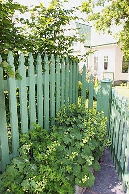 Picket Fencing can really dress up your home and make a huge improvement of how your house looks. See our gallery from white to cedar picket fence designs. Country Fences, Green Fence, Cheap Fence, Garden Screening, Front Yard Fence, White Picket Fence, Fence Paint, Modern Fence, Fence Landscaping