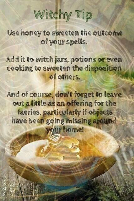 Witches Jar, The Scorpions, Green Witchcraft, Wiccan Witch, Magick Spells, Magical Herbs, Eclectic Witch, Witch Spell Book, Witchcraft For Beginners