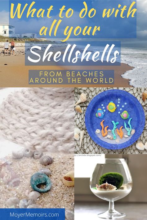 Beach Vacation Souvenirs Diy, Shell Souvenir Ideas, Seashell Souvenir Ideas, Seashell Memory Craft, Diy Beach Souvenirs, Seashell Decoration Ideas, Sand And Seashell Crafts, Beach Sand And Shells Keepsake, Beach Memory Ideas