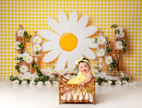 Bremen Baby Photographer | Daisy Six Month Milestone Session Daisy Party, Six Month, Boho Flowers, Floral Backdrop, Printed Backdrops, Fabric Backdrop, Baby Milestones, Photographing Babies, Photography Backdrop